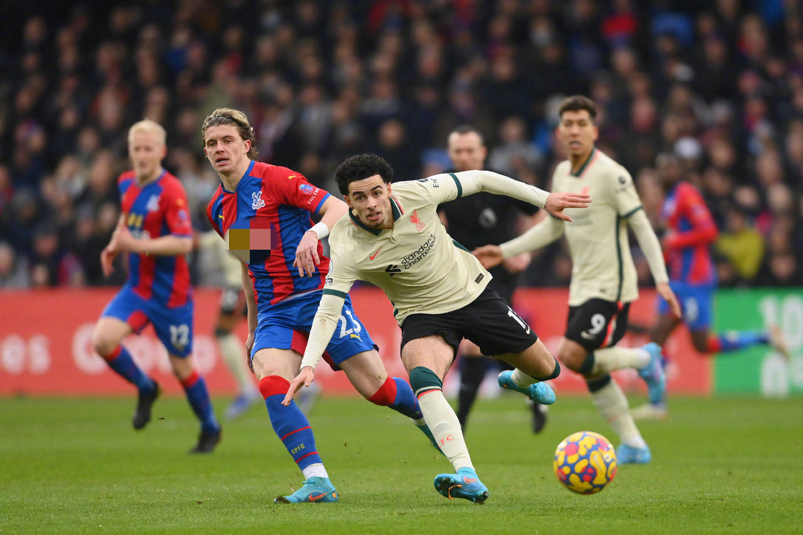 继续发掘和 继续发掘和